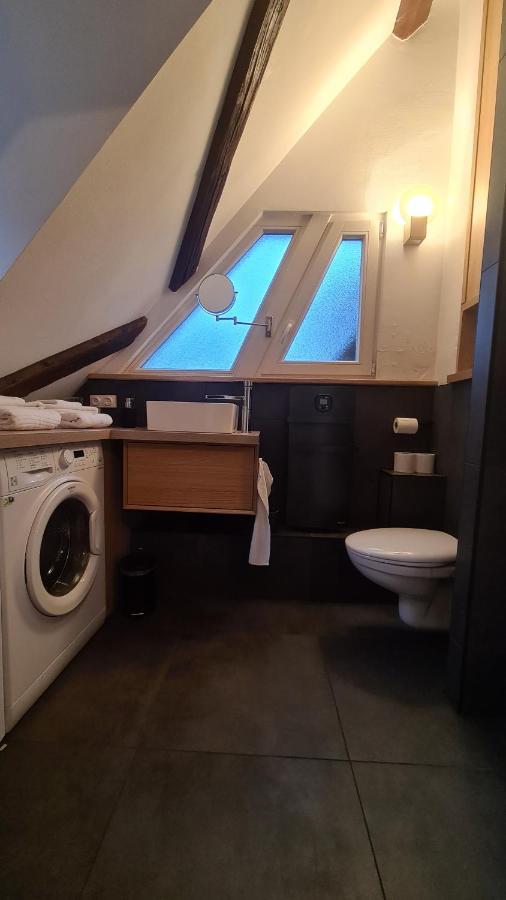 Duplex Centre - Le Marche Apartment โอแบร์เน ภายนอก รูปภาพ